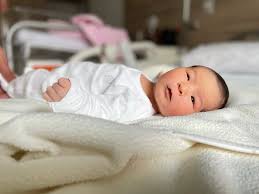 Fertilo Baby: Revolutionizing Fertility Treatments